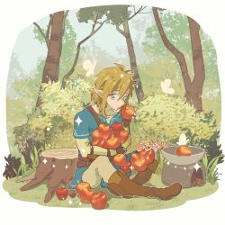 1boy apple artist_name belt blonde_hair blue_eyes blue_shirt boots border brown_gloves bug butterfly day eating fingerless_gloves food forest fruit full_body gloves grass hair_between_eyes holding holding_food holding_fruit insect knee_boots link long_sleeves looking_at_viewer male_focus medium_hair nature nintendo outdoors pants pointy_ears shirt sidelocks sitting solo sparkle the_legend_of_zelda tree tree_stump tunic white_border xi_yuu