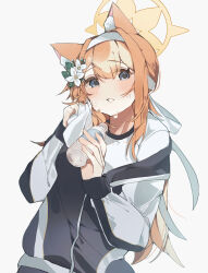 Rule 34 | 1girl, absurdres, animal ears, blue archive, blue eyes, bottle, flower, hair flower, hair ornament, higa (gominami), highres, holding, holding bottle, looking at viewer, mari (blue archive), mari (track) (blue archive), solo, sweat, water bottle, wiping sweat