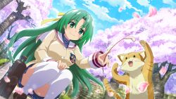 1girl artist_request bag blue_skirt blue_sky breasts brown_fur brown_jacket cat cat_teaser cherry_blossoms clannad cloud convenient_leg crossover fangs game_cg green_eyes green_hair hair_ribbon highres higurashi_no_naku_koro_ni higurashi_no_naku_koro_ni_mei hikarizaka_private_high_school_uniform holding_cat_teaser jacket long_hair long_sleeves non-web_source official_art petals pink_petals ribbon school_bag school_uniform skirt sky smile sonozaki_shion squatting thighhighs tree white_thighhighs yellow_ribbon