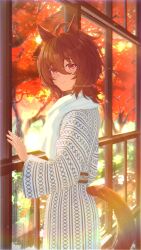 Rule 34 | 1girl, agnes tachyon (umamusume), ahoge, animal ears, artist name, autumn leaves, breasts, brown hair, closed mouth, clothing cutout, gloves, hair between eyes, hand up, horse ears, horse tail, huge ahoge, leaf, medium hair, red eyes, reflection, smile, solo, sunsunnunusun, tail, tail through clothes, towel, towel around neck, twitter username, umamusume, window