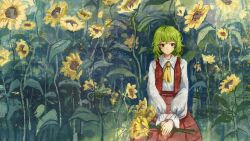 1girl ascot collared_shirt field flower flower_field frilled_sleeves frills ge_dazuo green_hair hands_on_lap highres holding holding_flower kazami_yuuka long_sleeves medium_hair nature plaid_clothes plaid_skirt plaid_vest red_eyes red_skirt red_vest shirt skirt skirt_set solo sunflower sunflower_field touhou vest yellow_ascot
