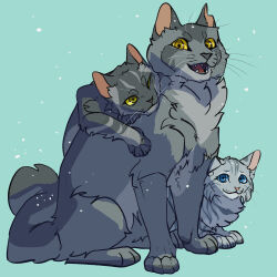 :3 animal animal_focus aqua_background blue_eyes brother_and_sister cat commentary family father_and_daughter father_and_son feathertail fugu_(fugusunburst55) graystripe grey_cat grey_fur highres hug kitten no_humans open_mouth siblings simple_background sitting smile snowing stormfur the_prophecies_begin warrior_cats whiskers yellow_eyes