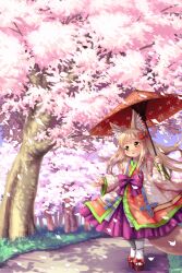 Rule 34 | 1girl, animal ears, blonde hair, cherry blossoms, emil chronicle online, fox ears, fox girl, fox tail, geta, hair ornament, hair ribbon, highres, holding, holding umbrella, japanese clothes, kimono, kokumotsu, loki alma, oil-paper umbrella, open mouth, ribbon, tail, thighhighs, tree, umbrella, white thighhighs, yellow eyes