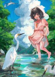 1girl :3 animal_ears b_nosk101 barefoot bird black_hair bloomers blue_sky brown_eyes carrot_necklace cloud commentary_request day dress egret_(animal) floppy_ears frilled_sleeves frills full_body highres inaba_mob_(touhou) inaba_tewi jewelry medium_egret necklace open_mouth pink_dress puffy_short_sleeves puffy_sleeves rabbit rabbit_ears rabbit_girl rabbit_tail short_hair short_sleeves sky smile solo tail touhou underwear wading water white_bloomers