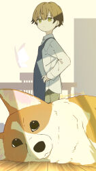Rule 34 | 1boy, absurdres, apron, blue apron, brown hair, bug, butterfly, collared shirt, commentary request, dog, double-parted bangs, from side, green eyes, green pants, hair between eyes, highres, indoors, insect, long sleeves, looking at viewer, male focus, original, pants, sankakkee, shadow, shirt, short hair, solo, standing, table, turning head, twitter username, welsh corgi, white shirt