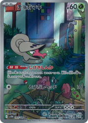 artist_name cactus card_(medium) company_name copyright_name copyright_notice door faucet flower from_side full_body gen_5_pokemon grass highres hose jitome mekayu nintendo no_humans o3o official_art pidove pokemon pokemon_(creature) pokemon_card pokemon_focus pokemon_tcg rock shelmet solo third-party_source trading_card translation_request water