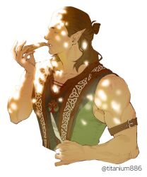 Rule 34 | 1boy, baldur&#039;s gate, baldur&#039;s gate 3, bara, brown hair, closed eyes, cropped torso, eating, elf, hairy, halsin, large pectorals, male focus, mature male, medium hair, muscular, muscular male, pectoral cleavage, pectorals, pointy ears, profile, sidepec, solo, sparse arm hair, sparse chest hair, sunlight, thick eyebrows, titanium886, tree shade