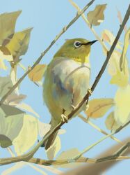 absurdres animal animal_focus beak bird blue_sky branch chinese_commentary commentary_request from_below highres japanese_white-eye leaf liang_shi_er no_humans original painterly perching realistic sky tail tree