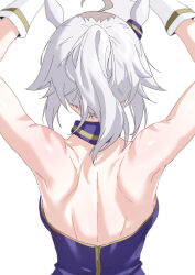 1girl ahoge animal_ears armpits arms_up back back_focus backless_outfit bare_back ear_ornament from_behind gloves grey_hair highres horse_ears horse_girl oguri_cap_(umamusume) ponytail shoulder_blades simple_background sleeveless solo ulrich_(tagaragakuin) umamusume umamusume:_cinderella_gray white_background white_gloves