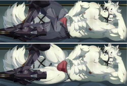 1boy abs absurdres animal_ears bara blush bulge closed_mouth commentary english_commentary eyepatch furry furry_male gafou01 grey_pants head_on_hand highres looking_at_viewer lying male_focus male_underwear multiple_views muscular muscular_male nipples no_pants obnoxious_watermark on_side pants pectorals prosthesis prosthetic_leg red_male_underwear sample_watermark tail tail_belt topless_male underwear von_lycaon watermark wolf_boy wolf_ears wolf_tail zenless_zone_zero