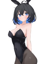 1girl ahoge bare_shoulders black_leotard black_pantyhose blue_eyes blue_hair bob_cut breasts cleavage closed_mouth collarbone covered_navel honkai_(series) honkai_impact_3rd leotard looking_at_viewer medium_breasts pantyhose playboy_bunny samate seele_vollerei short_hair simple_background solo white_background