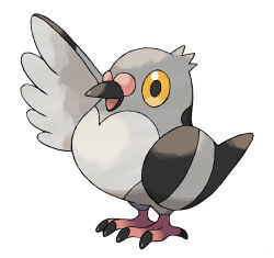 animal_focus bird full_body gen_5_pokemon highres nintendo no_humans official_art open_mouth pidove pokemon pokemon_(creature) pokemon_bw pokemon_focus simple_background solo sugimori_ken third-party_source white_background yellow_eyes