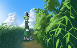 Rule 34 | 1girl, black hat, blue sky, closed mouth, day, dress, expressionless, full body, grass, green dress, green hair, hat, long dress, long sleeves, looking at viewer, outdoors, path, ritsuzou, road, short hair, sky, soga no tojiko, solo, standing, tate eboshi, touhou, tree