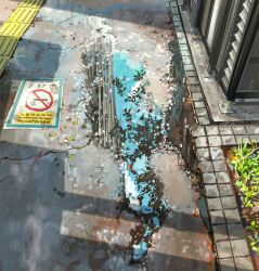 Rule 34 | commentary, day, grass, highres, no humans, no smoking, original, outdoors, puddle, reflection, reflective water, sanegesan, scenery, shadow, tactile paving, water