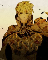 cape disney highres male_focus mufasa personification sword the_lion_king weapon