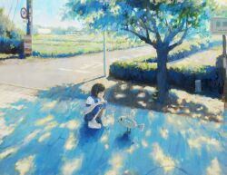 1girl blue_sailor_collar blue_skirt brown_eyes brown_hair bush commentary day fish fjsmu full_body highres original outdoors pleated_skirt road road_sign sailor_collar scenery school_uniform serafuku shirt shoes short_hair short_sleeves sign skirt solo squatting summer tree white_shirt white_shoes