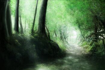 Rule 34 | chinese commentary, commentary request, day, forest, green theme, highres, nature, no humans, original, outdoors, path, road, scenery, tree, zaq (pgvc4472)