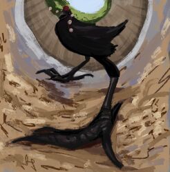 Rule 34 | animal, animal focus, animalization, beak, bird, black feathers, crow, day, feathers, full body, hat, highres, no humans, nogguies, open mouth, outdoors, pom pom (clothes), pov, red hat, shameimaru aya, solo, standing, tokin hat, touhou
