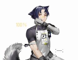 1boy animal_ears apron arknights armband bandaid bandaid_on_face bandaid_on_nose bishounen black_hair black_shirt dog_boy dog_ears dog_tail gloves highres infection_monitor_(arknights) male_focus orange_eyes shirt short_hair solo tail toned toned_male white_apron white_gloves windflit_(arknights) wiping_face yyb