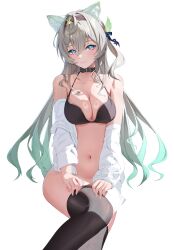 1girl absurdres animal_ear_fluff animal_ears belt_collar black_bra black_hairband black_thighhighs blue_eyes blue_pupils bra breasts cat_ears collar collarbone firefly_(honkai:_star_rail) gradient_hair green_hair grey_hair hair_ornament hairband highres honkai:_star_rail honkai_(series) invisible_chair katal kemonomimi_mode large_breasts long_hair multicolored_eyes multicolored_hair navel open_clothes open_shirt purple_hair putting_on_legwear shirt simple_background sitting smile solo thighhighs two-tone_eyes two-tone_hair underwear white_background white_shirt