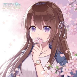 1girl blue_jacket blurry blurry_background blurry_foreground blush braid branch breasts brown_hair character_request commentary_request copyright_name depth_of_field flower hair_between_eyes hair_ornament hair_ribbon hairclip hand_up hitsuki_rei holding holding_flower jacket jacket_on_shoulders long_hair looking_at_viewer petals pink_flower purple_eyes ribbon shirt small_breasts snowdreams_-lost_in_winter- solo taiwan upper_body watch white_ribbon white_shirt wristwatch