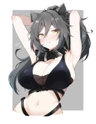 1girl animal_ear_fluff animal_ears arknights armpits arms_up bare_shoulders black_scarf blush border bra breasts cat_ears cat_girl cleavage closed_mouth commentary_request crop_top ear_piercing grey_background grey_hair hair_between_eyes heka=ton highres large_breasts long_hair looking_at_viewer navel outside_border piercing ponytail presenting_armpit revision scarf schwarz_(arknights) simple_background solo stomach striped_clothes striped_scarf sweat swimsuit underwear upper_body white_border yellow_eyes