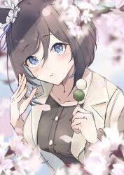 1girl animal_ears black_dress black_hair blue_eyes breasts brown_jacket casual cherry_blossoms commentary dango dress ear_scrunchie eishin_flash_(umamusume) food hair_between_eyes highres holding holding_food horse_ears horse_girl jacket large_breasts long_sleeves looking_at_viewer ponimeri sanshoku_dango short_hair solo symbol-only_commentary umamusume wagashi