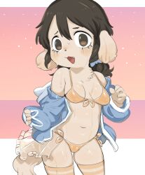 1girl absurdres animal_ears bikini breasts brown_eyes brown_hair dog_ears dog_girl dog_tail fang floppy_ears furry furry_female hair_between_eyes highres long_hair navel original petite plump small_breasts swimsuit tail thighhighs tory_(tory29)