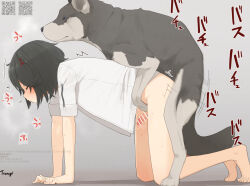 1boy all_fours artist_name bar_censor bestiality censored character_request closed_eyes commentary_request copyright_request dog doggystyle gradient_background grey_background motion_lines penis sex sex_from_behind shirt short_sleeves tsurugi_(the_horizon) white_shirt yaoi