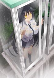 1girl :o against_glass black_hair black_necktie bra_visible_through_clothes breast_press breasts breasts_on_glass brown_shoes bus_stop bush from_outside hair_between_eyes highres huge_breasts hyoki_(senran_kagura) loafers long_hair necktie official_art open_mouth phone_booth puddle rain road school_uniform see-through_clothes see-through_shirt senran_kagura senran_kagura_new_wave shirt shoes skirt slit_pupils solo standing street very_long_hair water_drop wet wet_clothes wet_hair wet_shirt wet_skirt white_shirt yaegashi_nan yellow_eyes