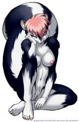 1girl animal_ears animal_hands barefoot breasts dr_comet feet female_focus furry furry_female highres nipples nude one_eye_closed pussy simple_background skunk skunk_girl solo tail toes uncensored wink