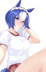 1girl absurdres alternate_costume animal_ears blue_hair blush braid breasts cesario_(umamusume) commentary_request crown_braid hair_between_eyes highres holding holding_towel horse_ears horse_girl horse_tail knees_up kouma_(kumkouma) looking_at_viewer medium_breasts multicolored_hair purple_eyes red_shorts shirt short_hair short_sleeves shorts simple_background sitting solo streaked_hair sweat tail towel umamusume visible_air white_background white_hair white_shirt wiping_sweat