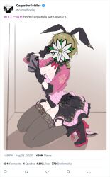 1girl animal_ears blonde_hair borrowed_clothes borrowed_hairstyle braid breasts censored censored_identity cosplay english_text fake_animal_ears fake_phone_screenshot fake_screenshot full_body holding holding_phone lop_rabbit_ears m4skedboi medium_breasts myroslava_bozhuk original phone rabbit_ears seiza short_hair sitting social_media_composition twitter_screenshot twitter_username ukraine v