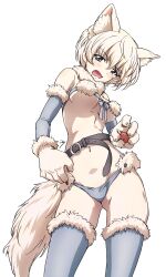 1girl absurdres animal_ears animal_hands bad_source bare_shoulders belt bikini blue_eyes blush breasts detached_sleeves embarrassed erakin fur-trimmed_sleeves fur-trimmed_thighhighs fur_collar fur_trim girls_und_panzer gloves groin highres looking_at_viewer medium_breasts navel open_mouth paw_gloves revealing_clothes short_hair solo swimsuit tail tearing_up thighhighs white_hair youko_(girls_und_panzer)