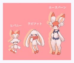 aliceyawnin animal_focus bad_id bad_tumblr_id character_name cinderace commentary creature creatures_(company) english_commentary evolutionary_line full_body furry game_freak gen_8_pokemon nintendo pink_background pokemon pokemon_(creature) rabbit raboot scorbunny standing striped_background