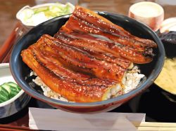 blurry blurry_background bowl chopsticks cucumber cucumber_slice cup eel fish fish_(food) food food_focus grilled_eel highres igaiga_(igarashijunji) no_humans original realistic rice still_life unajuu_(food) vegetable
