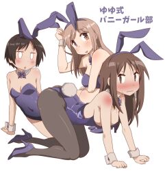 3girls aikawa_chiho all_fours animal_ear_hairband animal_ears black_hair black_pantyhose blush bow bowtie brown_eyes brown_hair closed_mouth covered_navel detached_collar fake_animal_ears fake_tail full_body hairband hasegawa_fumi high_heels highleg highleg_leotard highres leotard long_hair looking_at_viewer multiple_girls o_o okano_kei open_mouth pantyhose playboy_bunny purple_bow purple_bowtie purple_leotard rabbit_ear_hairband rabbit_ears rabbit_tail short_hair simple_background sitting squatting strapless strapless_leotard sweatdrop tail toutouhai white_background white_wrist_cuffs wrist_cuffs yokozuwari yuyushiki