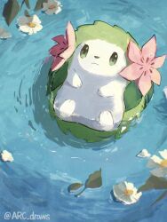 Rule 34 | afloat, arc draws, closed mouth, flower, from above, gen 4 pokemon, green eyes, highres, leaf, legendary pokemon, mythical pokemon, nintendo, no humans, pokemon, pokemon (creature), shaymin, shaymin (land), solo, twitter username, water, white flower