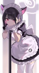 1girl animal_ears apron black_hair blue_archive cat_ears falken_(yutozin) gloves halo kazusa_(blue_archive) looking_at_viewer maid maid_apron maid_headdress multicolored_hair pink_eyes pink_hair pink_halo thighhighs thighs two-tone_hair white_apron white_gloves white_headdress white_thighhighs