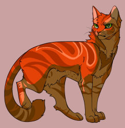 Rule 34 | animal, animal focus, cat, commentary, firestar (warrior cats), fugu (fugusunburst55), full body, green eyes, leg up, looking at viewer, no humans, orange cat, orange fur, simple background, solo, standing, tail, warrior cats, whiskers