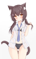 1girl animal_ear_fluff animal_ears bikini black_bikini blue_necktie blush breast_pocket breasts brown_eyes brown_hair cat_ears cat_girl cat_tail closed_mouth commentary_request commission cowboy_shot hair_ornament hairclip highres loose_necktie mochizuki_riku necktie original parallel_hairclips pocket shirt simple_background skeb_commission small_breasts solo swimsuit tail twintails wet wet_clothes wet_shirt white_background white_shirt
