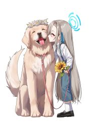 1girl ^_^ absurdres aged_down alfie_(tmdals7645) alternate_costume alternate_hair_color animal_collar aqua_halo aqua_ribbon asuna_(blue_archive) asymmetrical_bangs black_shoes blue_archive blue_pants closed_eyes collar commentary dog flower frilled_shirt_collar frills full_body golden_retriever grey_hair hair_over_one_eye hair_ribbon halo highres holding holding_flower holding_leash kiss kissing_cheek leash light_blush loafers long_hair pants pink_collar ribbon shirt shoes sidelocks socks sunflower suspenders very_long_hair white_background white_shirt white_socks