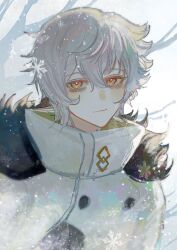 Rule 34 | 1boy, fate/grand order, fate (series), fur-trimmed jacket, fur trim, grey hair, guiyuchen21490, hair between eyes, highres, jacket, kadoc zemlupus, looking at viewer, male focus, orange eyes, smile, snowflakes, snowing, solo, upper body, winter