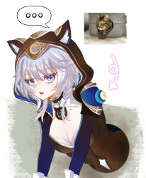 ... 1girl absurdres animal_ears animal_hood blue_eyes breasts cat cat_ears cat_girl cat_hood cipher_(honkai:_star_rail) cleavage commentary_request fang grey_hair highres honkai:_star_rail honkai_(series) hood large_breasts looking_at_viewer mole mole_on_breast oekakidekinai1 open_mouth reference_inset short_hair_with_long_locks simple_background skin_fang solo spoken_ellipsis stuck white_background