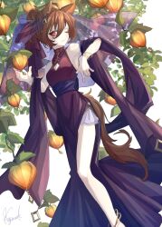 Rule 34 | 1girl, absurdres, agnes tachyon (umamusume), ahoge, alternate costume, alternate hairstyle, animal ears, anklet, bracelet, brown hair, brown tail, cleavage cutout, clothing cutout, commentary, dress, earrings, fruit request, hair between eyes, highres, horse ears, horse girl, horse tail, jewelry, light smile, looking at viewer, medium hair, messy hair, one eye closed, purple dress, purple shawl, purple veil, red eyes, sash, shawl, sidelocks, signature, single earring, sleeveless, sleeveless dress, solo, tail, tenagaebi, umamusume, veil, white background