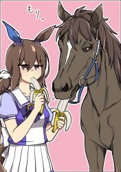 Rule 34 | 1girl, admire vega (racehorse), admire vega (umamusume), animal ears, back bow, bag, black border, border, bow, bowtie, bridle, brown eyes, brown hair, collarbone, commentary, cowboy shot, creature and personification, ear covers, ear ornament, eating, eyes visible through hair, feeding, feeding animal, hair between eyes, highres, holding, holding bag, horse, horse ears, horse girl, horse tail, long hair, low ponytail, motion lines, outside border, personification, pink background, pleated skirt, ponytail, puffy short sleeves, puffy sleeves, purple bow, purple bowtie, purple shirt, real life, sailor collar, sailor shirt, school uniform, shirt, short sleeves, simple background, single ear cover, skirt, summer uniform, tail, tracen school uniform, umamusume, wahiko (black bastard), white bow, white sailor collar, white skirt
