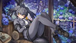 1girl absurdres ass bird_tail bird_wings black_gloves black_hair blue_flower bodysuit book breasts fingerless_gloves flower gloves grey_bodysuit grey_hair grey_necktie grey_shirt grey_shorts hair_between_eyes head_wings highres kemono_friends looking_at_viewer medium_breasts medium_hair melaton necktie open_book rain shirt shoebill_(kemono_friends) shoes short_sleeves shorts sidelocks sitting solo square-end_necktie tail wings yellow_eyes