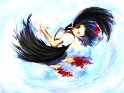 1girl black_hair black_wings female_focus hat highres rasha shameimaru_aya solo touhou wings
