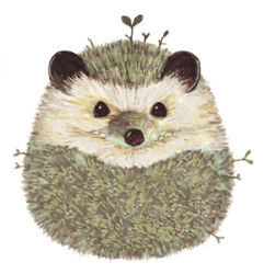 Rule 34 | amano sizuku, animal, animal focus, commentary request, hedgehog, leaf, looking at viewer, marker (medium), no humans, original, simple background, traditional media, white background