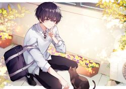 1boy absurdres bag black_bag black_hair black_pants black_shoes blurry bokeh brown_necktie cat closed_mouth collared_shirt commentary_request daifuku_mame_(kageroudt33) depth_of_field flower grey_eyes grey_sweater hair_between_eyes highres male_focus necktie original pants purple_flower school_bag shirt shoes solo squatting sweater white_shirt